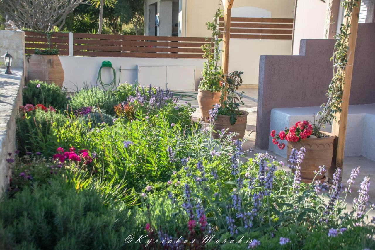 La Casa Del Vitsi Appartement Paleochora Buitenkant foto
